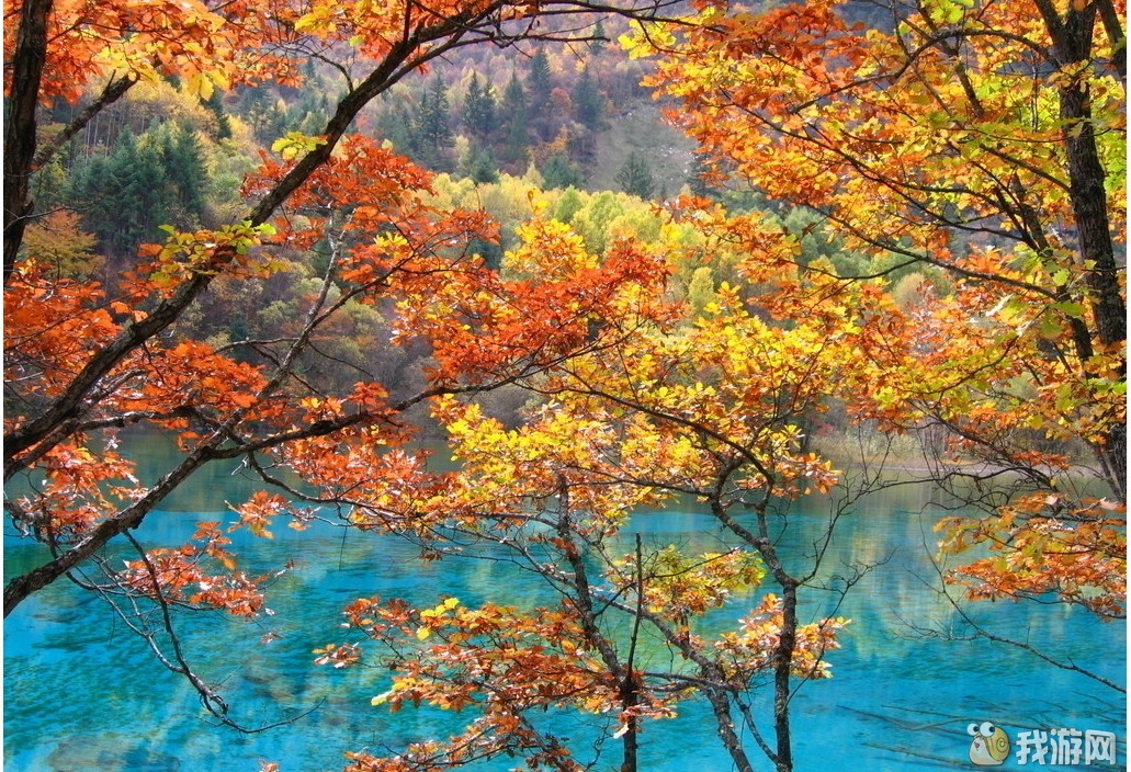 QQ��ͼ20121105144547.jpg