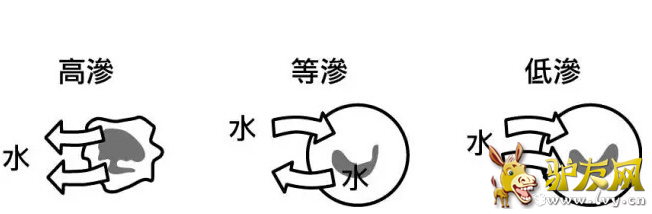 QQ��ͼ20160511110400.png